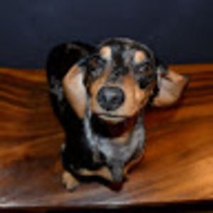 Meet your Posher, Cheryle